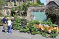 36. Allotment Association plant stall
